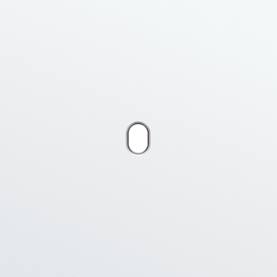 Niko Home Automation Enkelvoudige Afdekplaat, voor toggle (1 onderdeel), home con