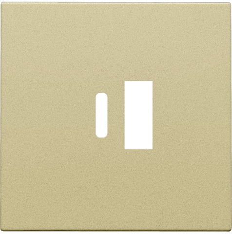 Niko Pure centraalplaat usb goud