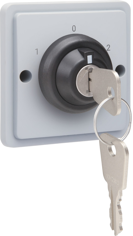 Niko Switches & Sockets Spuitwaterdichte Sleutelschakelaar 16 A met schroefklemmen en twee uni