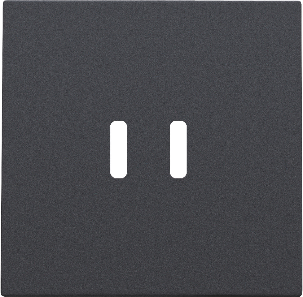 Niko Switches & Sockets Afwerkingsset Voor dubbele smart usb-C-lader, anthracite coated