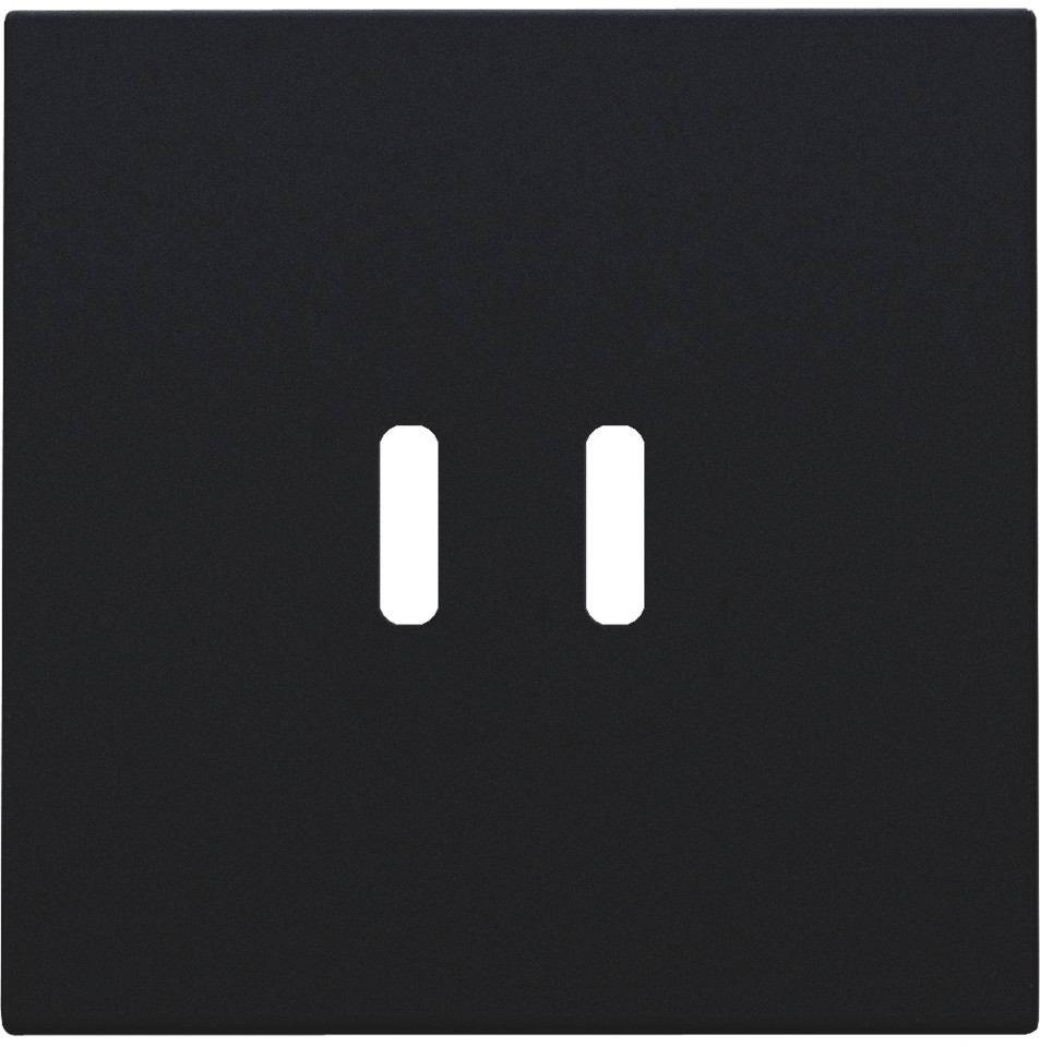 Niko Switches & Sockets Afwerkingsset Voor dubbele smart usb-C-lader, black coated