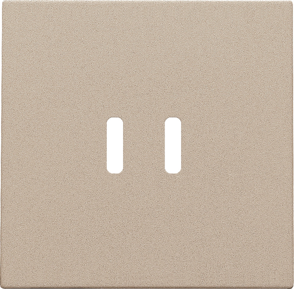 Niko Switches & Sockets Afwerkingsset Voor dubbele smart usb-C-lader, champagne coated