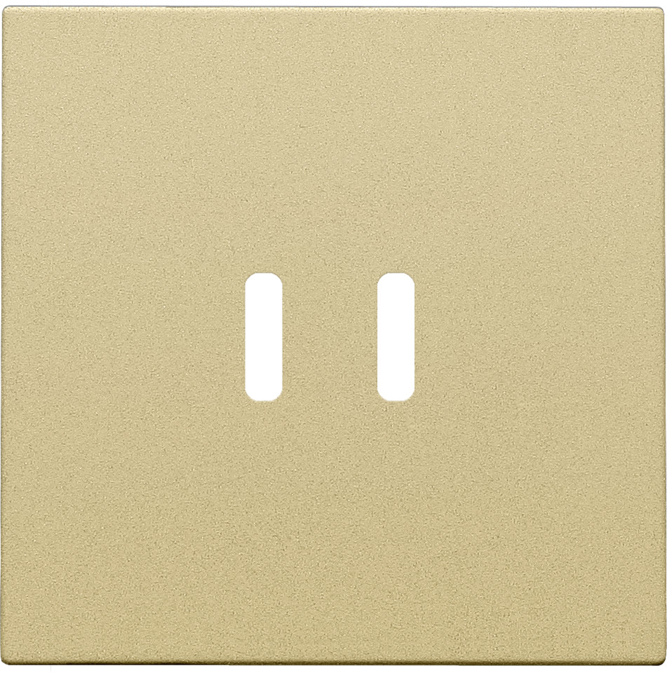 Niko Switches & Sockets Afwerkingsset Voor dubbele smart usb-C-lader, gold coated