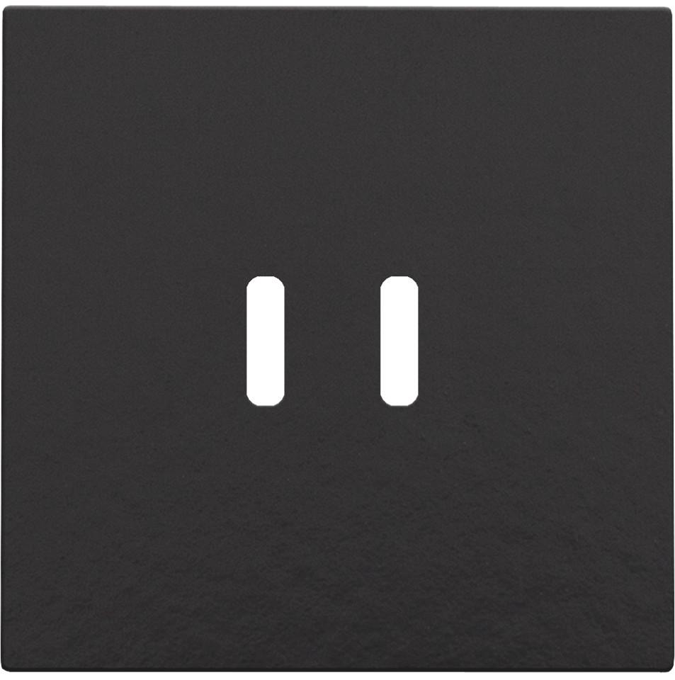 Niko Switches & Sockets Afwerkingsset Voor dubbele smart usb-C-lader, piano black coated