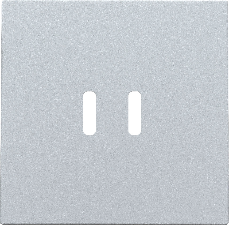 Niko Switches & Sockets Afwerkingsset Voor dubbele smart usb-C-lader, sterling coated