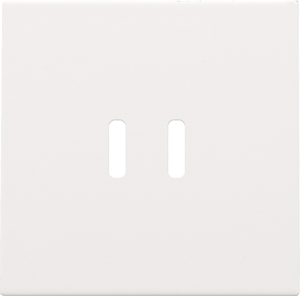 Niko Switches & Sockets Afwerkingsset Voor dubbele smart usb-C-lader, white coated