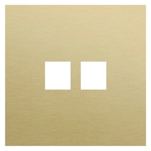 Niko Switches & Sockets Enkelvoudige Afdekplaat, voor tweevoudige RJ-aansluiting, rocker