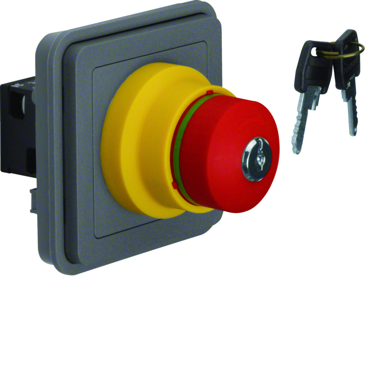 Nood-Uit-schakelaar met sleutelvergrendeling, W.1, grijs