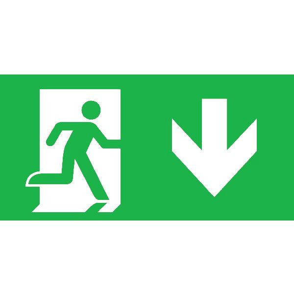 Normalux Ecolight europrisma pictogram noodverlichting inlegvel/-plaat naar beneden