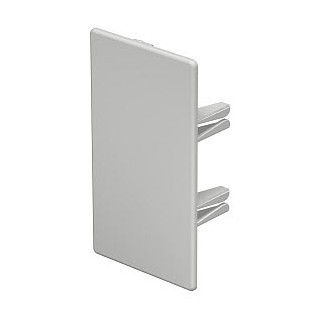 OBO WDK Eindstuk 60x110mm polyvinylchloride lichtgrijs ral 7035