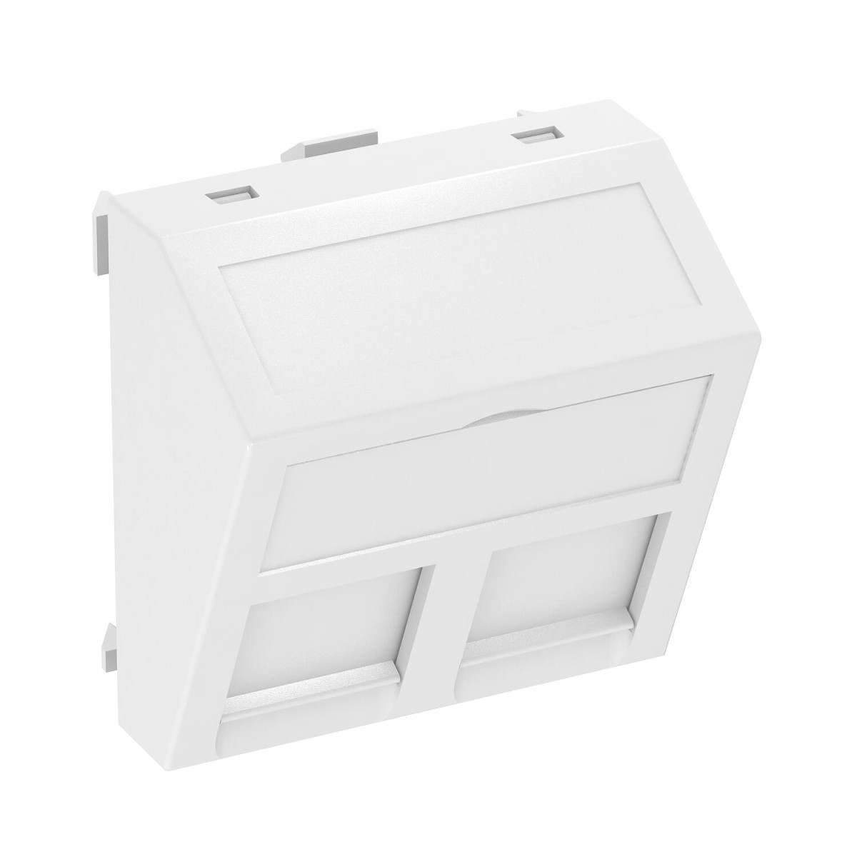 OBO Modul 45® data technology Data Techniek drager voor 2 aansluitingen type ep 45x45mm polycarbonaa