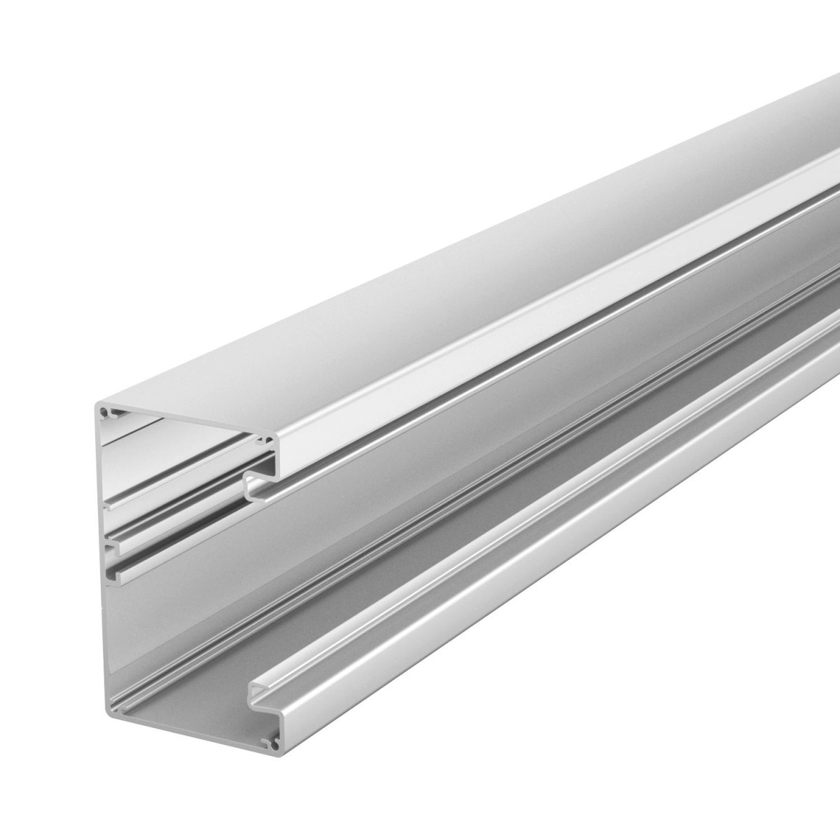 OBO Rapid 80® Device Installation trunking symmetrical 70x110x2000 aluminium geanodi