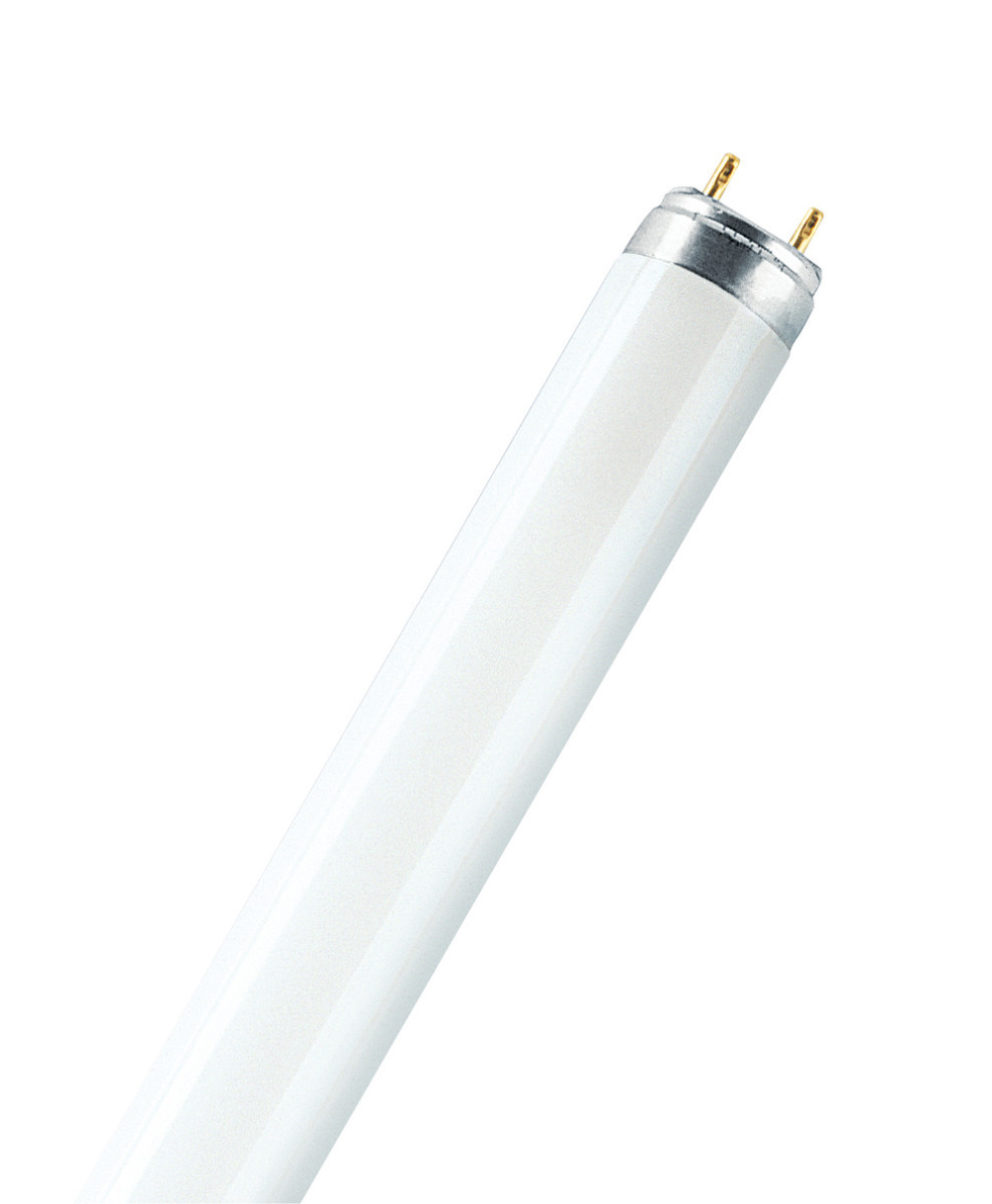 Osram LUMILUX T8 L18827