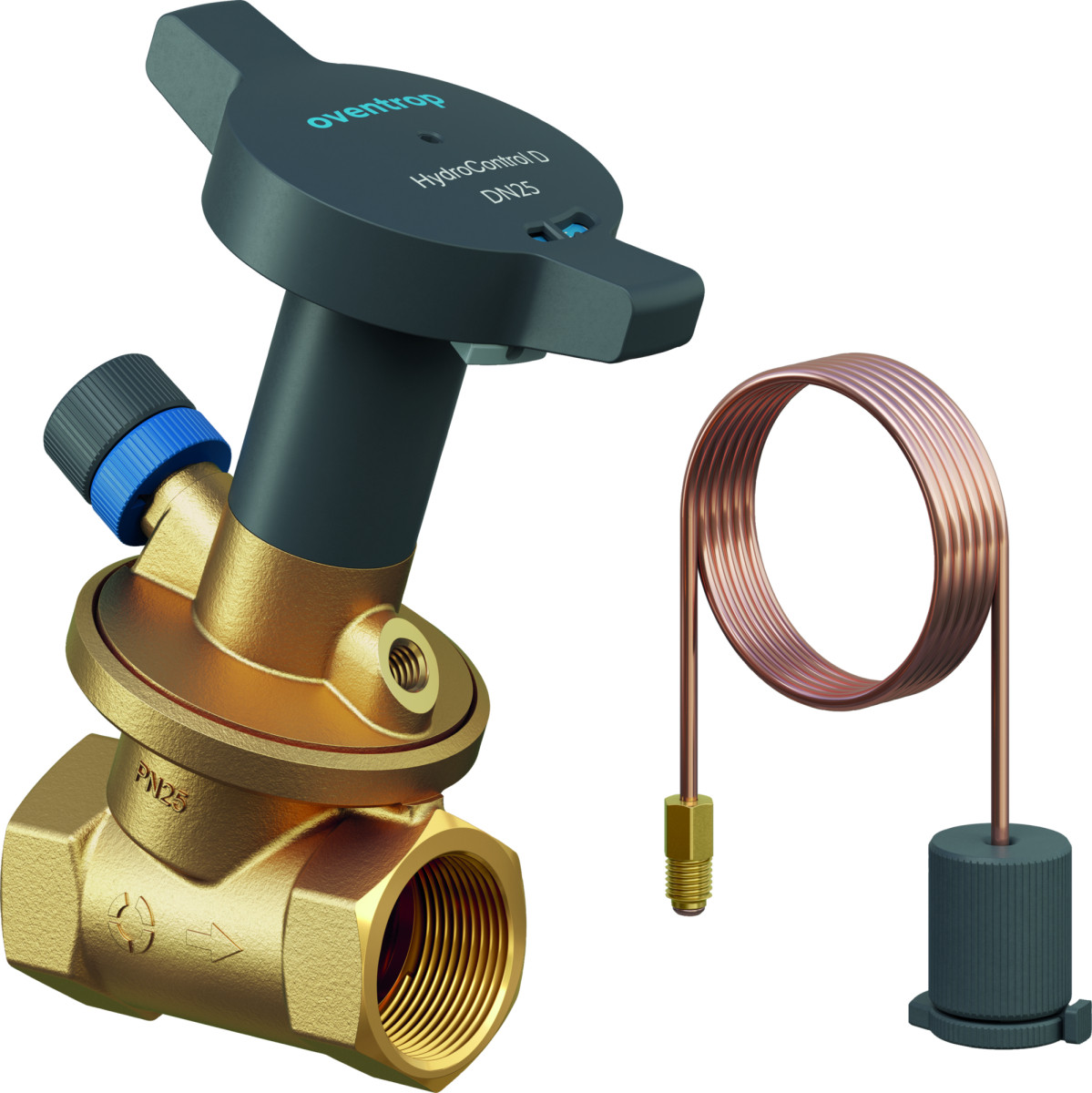 Oventrop DR-REGLAF PN25 DN50 2