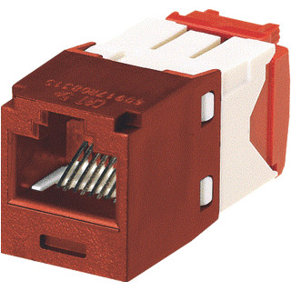 Panduit Minijack TX-5e oranje