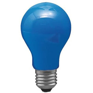 Paulmann GLS 40W E27 105 60(55)