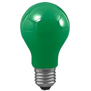 Paulmann GLS 40W E27 105 60(55) GR