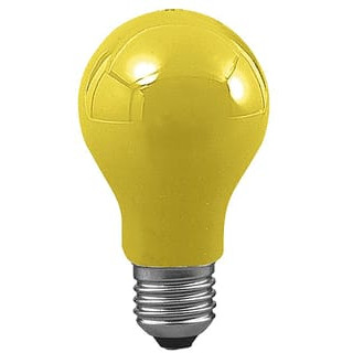 Paulmann GLS 40W E27 105 60(55) YE