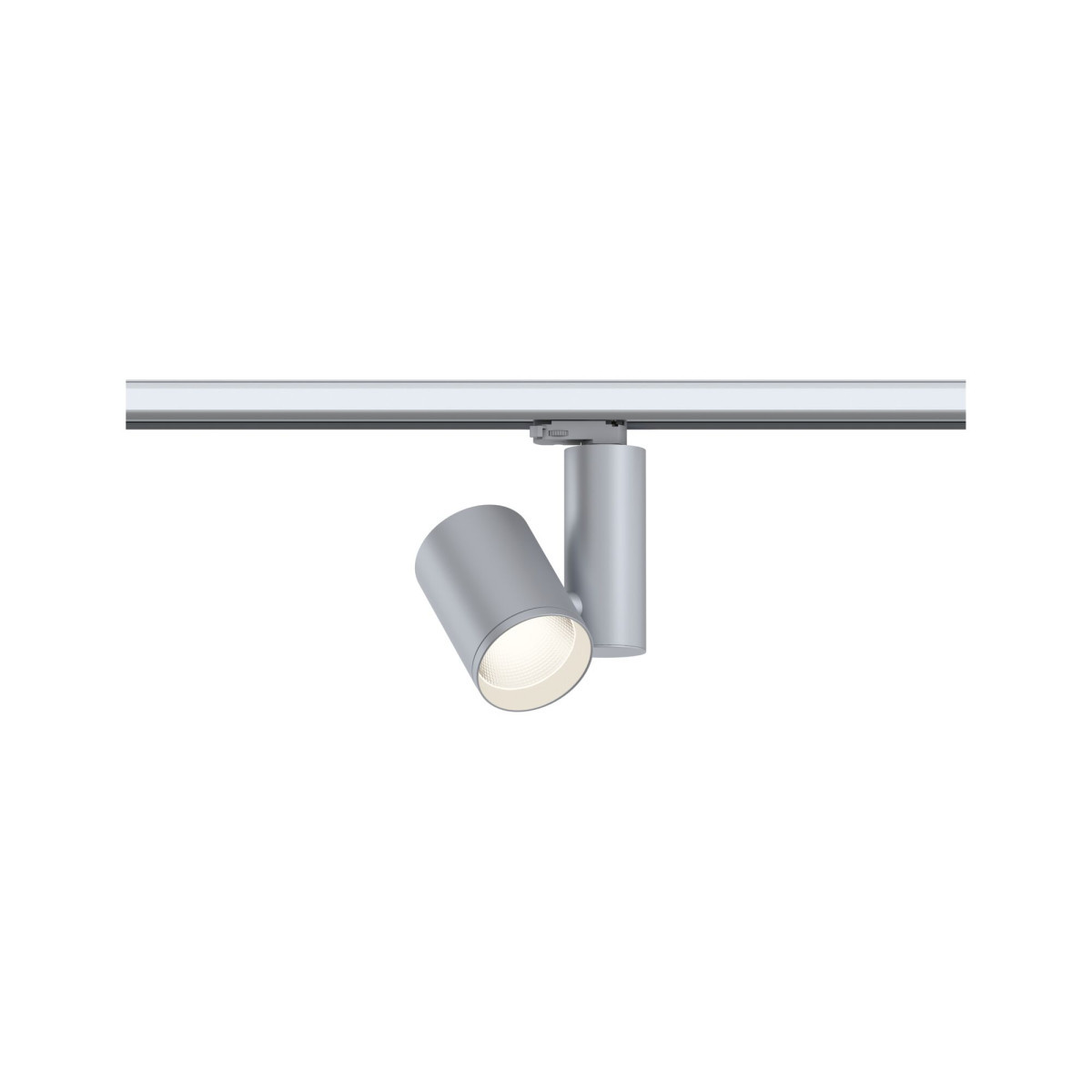 Paulmann Prorail3 spot zeuz 32W 38° 3000K silver 2