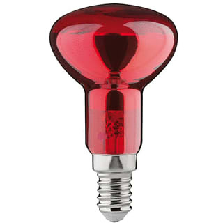 Paulmann REFLECTOR LAMP R50 40W IN