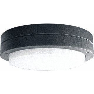 Pil Bliz led portiekarmatuur - buitenarmatuur (3 uur) 4000K 1673LM 84MM vrijstralend/diffuus steekklem antraciet