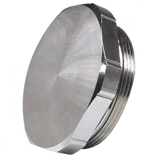 Pflitsch Blindstop messing vernikkeld draad PG29 6-kant