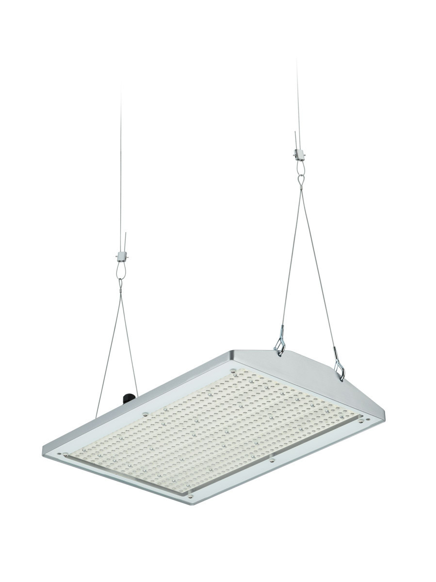 Philips GentleSpace Gen4 BY581P 250S/830 dia WB GC si