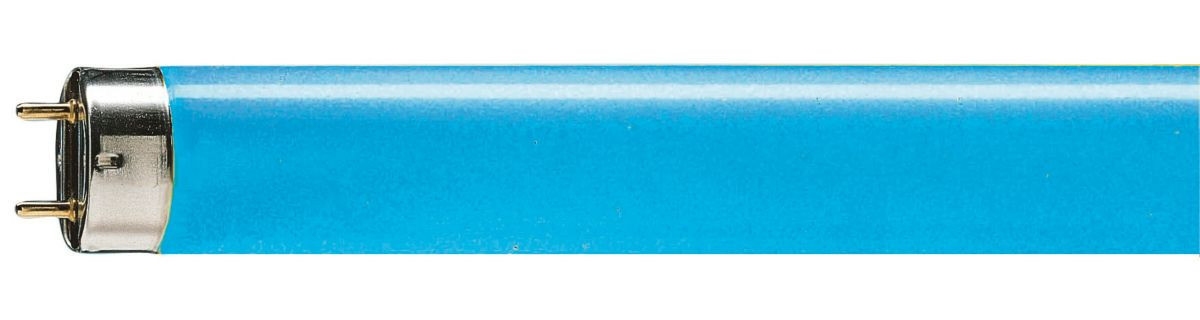 Philips TL-D TL-buis gekleurd 58W 1500MM