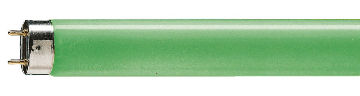 Philips TL-D TL-buis gekleurd 58W 1200MM