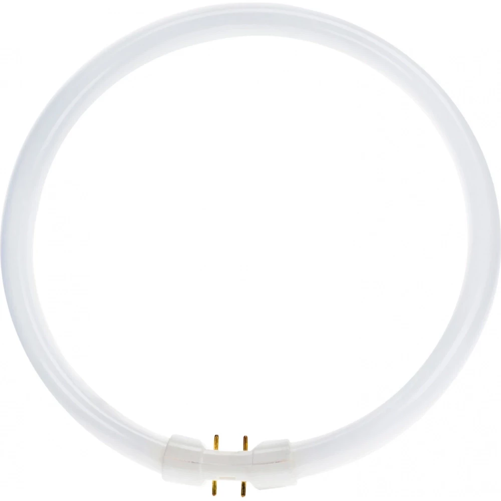 Philips MASTER TL5 Circular Master TL5 circular 60W/840 1CT/10