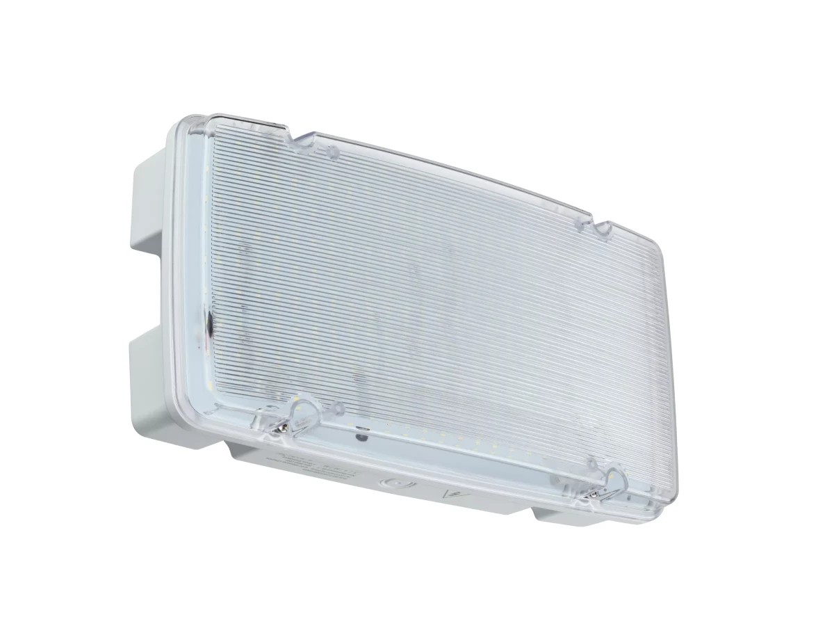 Philips Noodverlichting Em154c Ho BKD 15S NM3 elp ip65