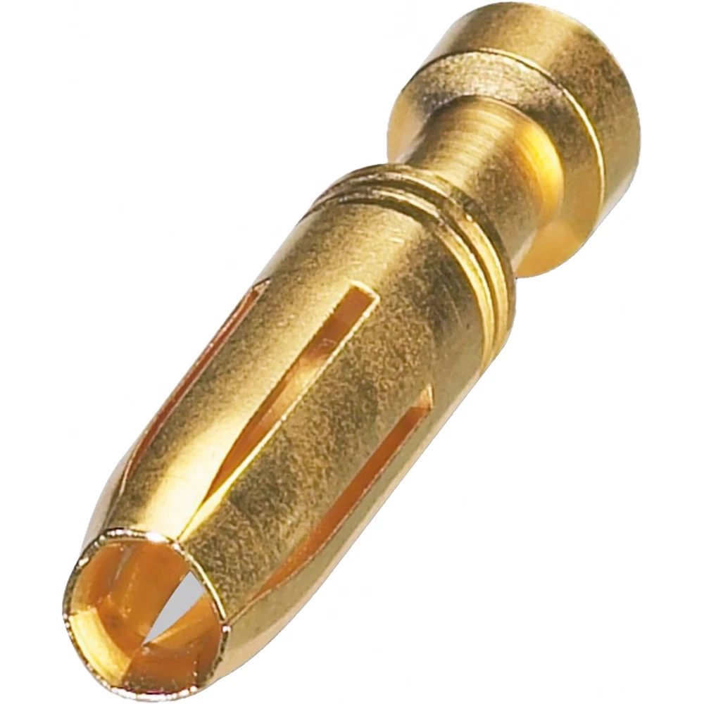 Phoenix Contact CK2,5-ed-0,50bu au