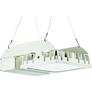 Pracht H-BAY HT DAL46 1X119 40