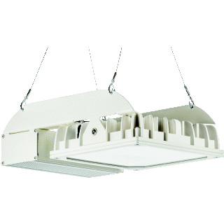 Pracht H-BAY IND DAL46 1X134 65