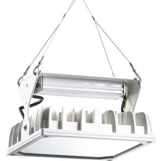 Pracht QUADRNIUS SPORT 29CM 143W