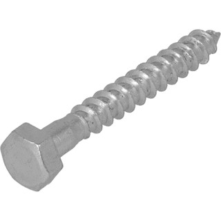 Proftec HOUTDRBT VZ 4.6 10X160