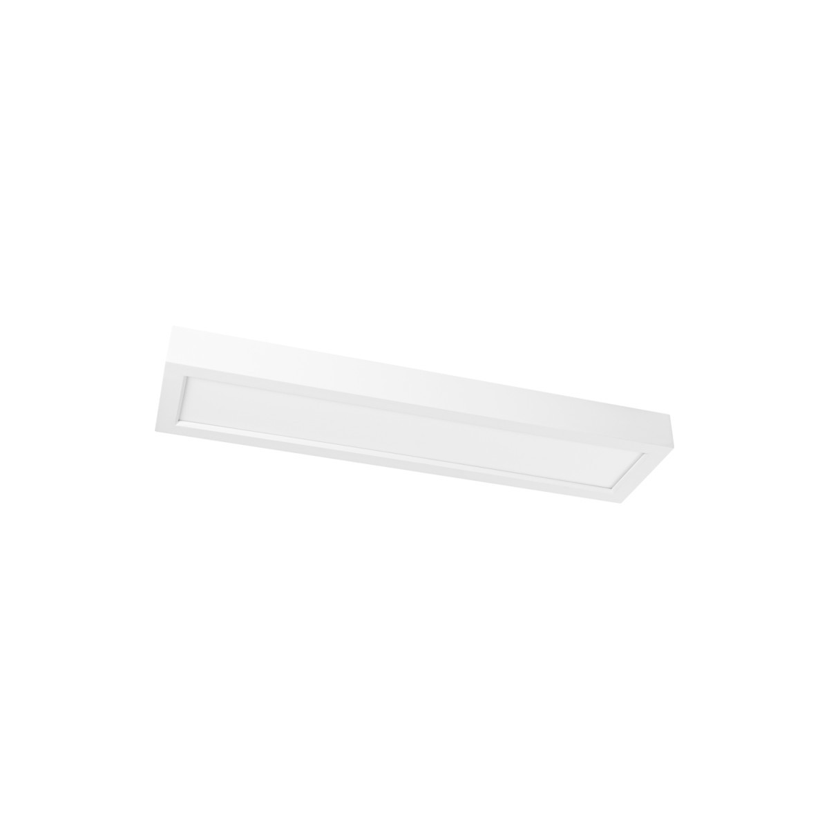 Prolumia LED Pro-Ceiling Pro-Ceiling 150x600xh48mm, opbouw, max. 20W, ip40