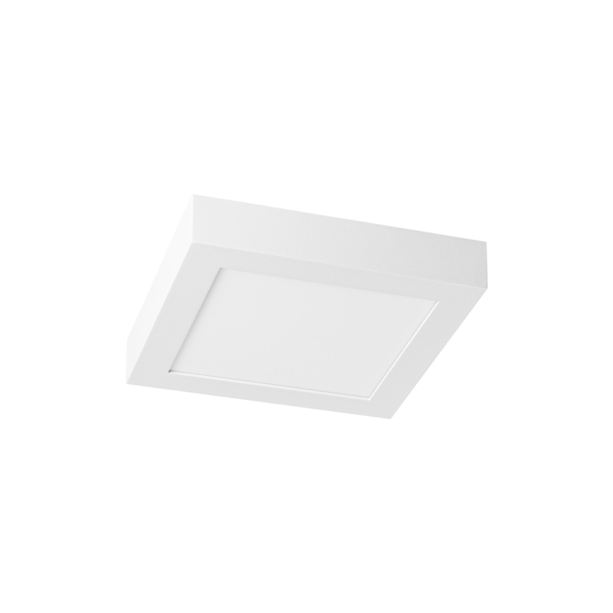 Prolumia LED Pro-Ceiling Pro-Ceiling 220x220xh39mm, opbouw, max. 20W, ip40