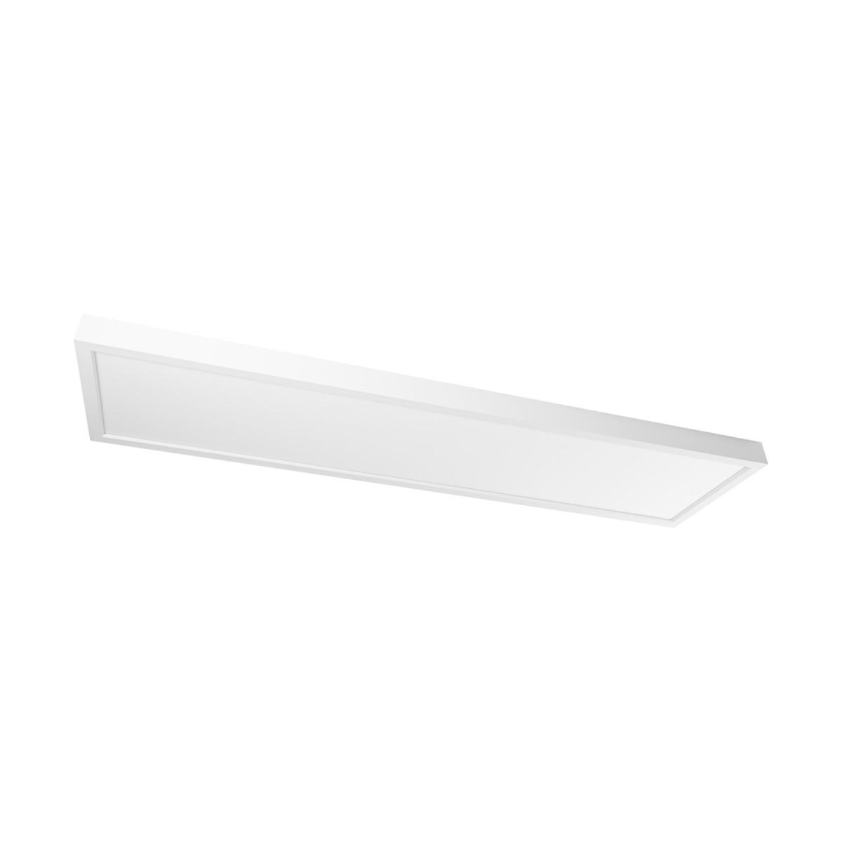 Prolumia LED Pro-Ceiling Pro-Ceiling 300x1200xh48mm, opbouw, max. 40W, ip40