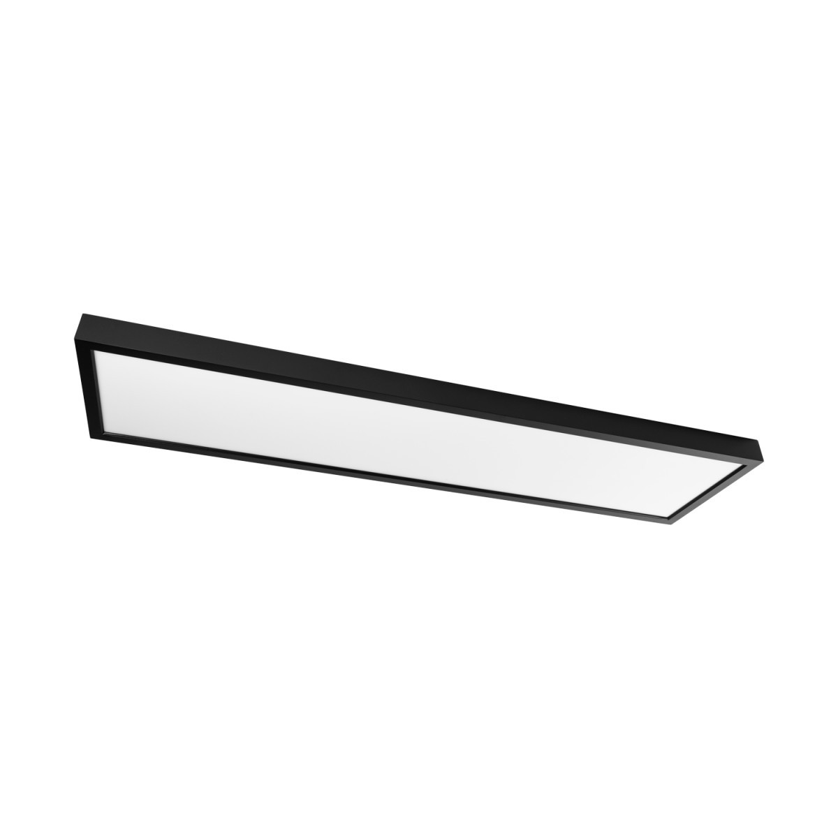 Prolumia LED Pro-Ceiling Pro-Ceiling 300x1200xh48mm, opbouw, max. 40W, ip40