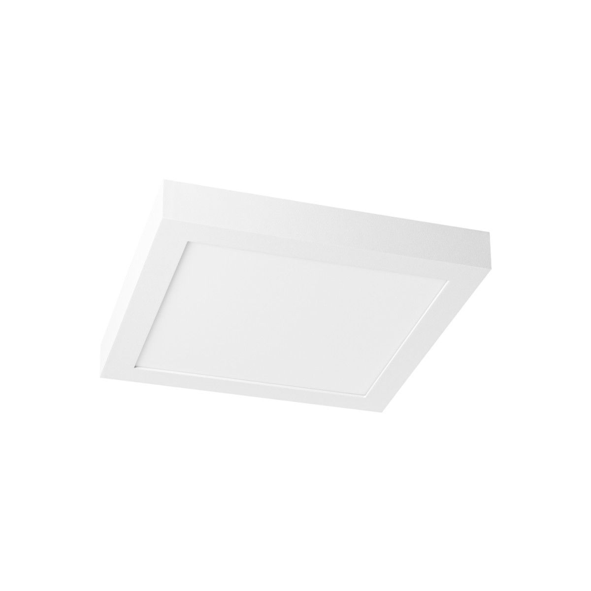 Prolumia LED Pro-Ceiling Pro-Ceiling 300x300xh39mm, opbouw, max. 30W, ip40