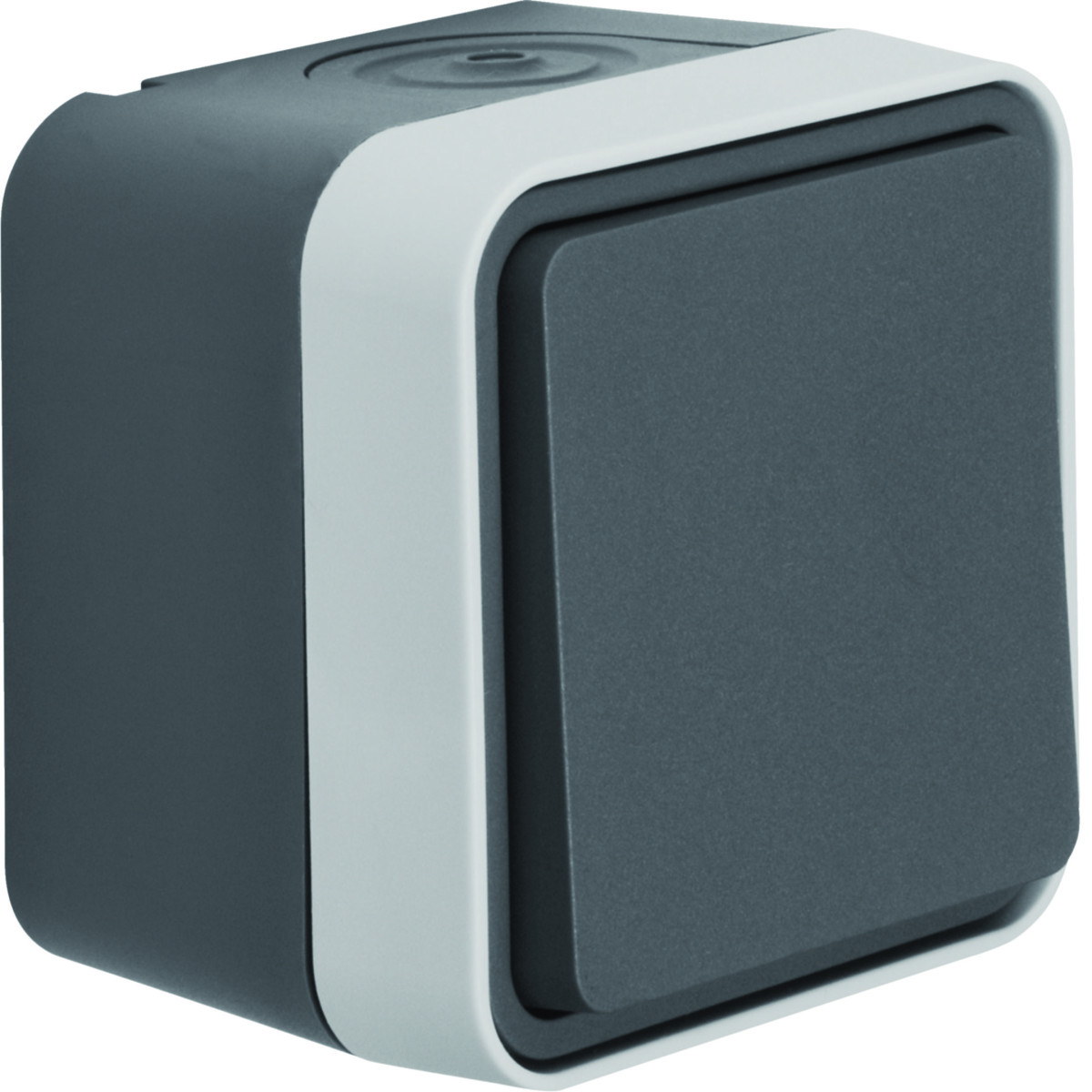 Pulsdrukker (maak) met behuizing, W.1 eco, grijs