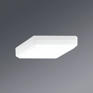 Regiolux Kappen toebehoor verlichting WQL 2/18 + led 12W afdekplaat direct kunststof