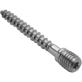 RHEINZINK SCHROEFSTIFT M10X70 RVS