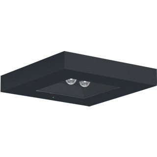 RZB CENTRYXX IP65 4,2W 170L ZW