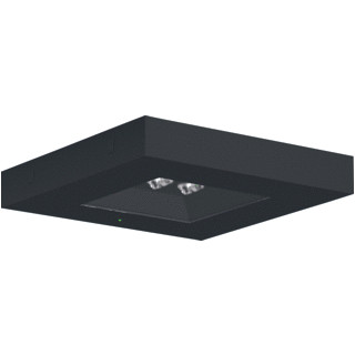 RZB CENTRYXX IP65 6,7W 350L ZW