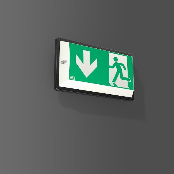 RZB Varioplast I noodverlichtingsarmatuur 765 led met pictogram ip54