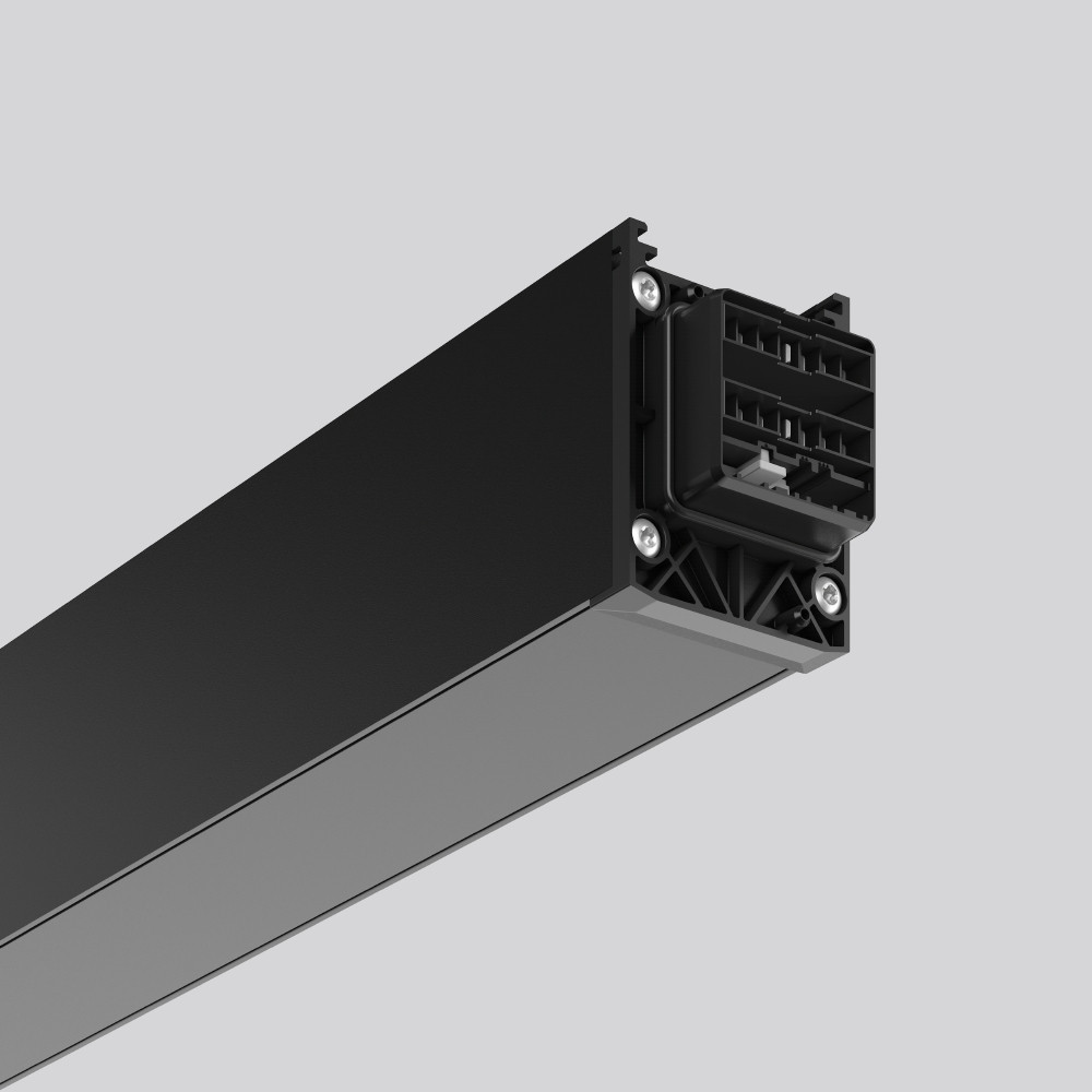 RZB LINEDO Blindstuk L 1163 B 58 H 76 kleur: zwart 220 - 240 V