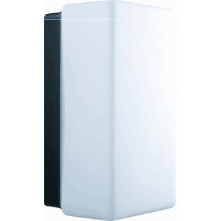 RZB Rechteck armatuur e27 led 60W 220MM ip43