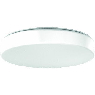 RZB Flat polymero kreis armatuur led 3000K 24W 2700LM ip40